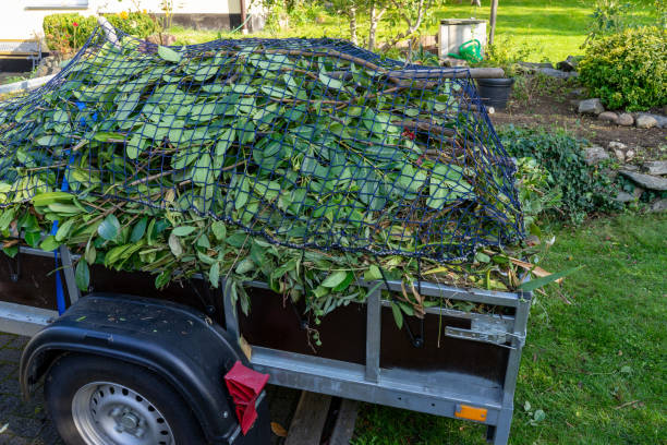 Best Estate Cleanout  in Malvern, IA
